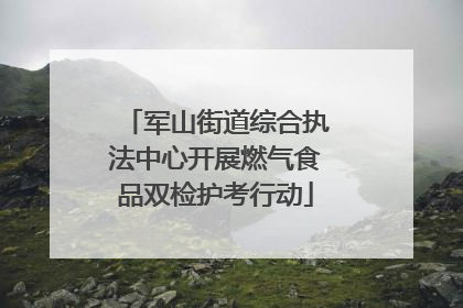 军山街道综合执法中心开展燃气食品双检护考行动