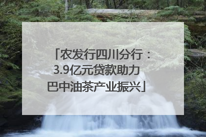 农发行四川分行：3.9亿元贷款助力巴中油茶产业振兴