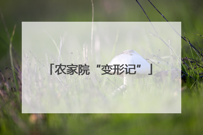 农家院“变形记”
