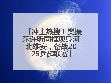 冲上热搜！樊振东许昕同框现身河北雄安，备战2025乒超联赛