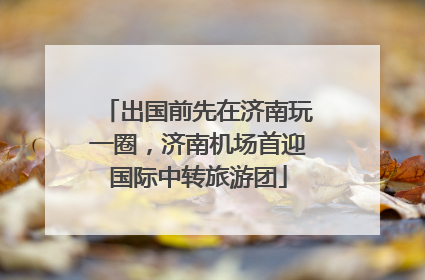 出国前先在济南玩一圈，济南机场首迎国际中转旅游团