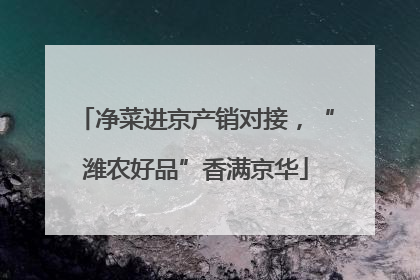 净菜进京产销对接，“潍农好品”香满京华