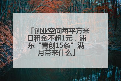 创业空间每平方米日租金不超1元，浦东“青创15条”满月带来什么