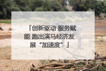 创新驱动 服务赋能 跑出演马经济发展“加速度”