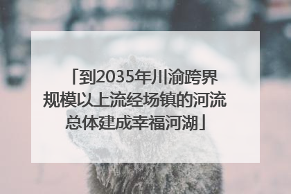 到2035年川渝跨界规模以上流经场镇的河流总体建成幸福河湖