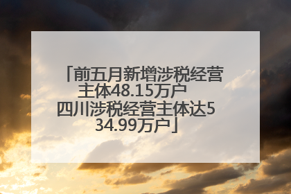 前五月新增涉税经营主体48.15万户 四川涉税经营主体达534.99万户