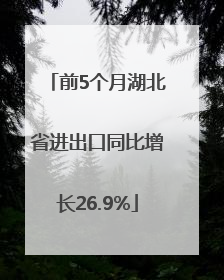 前5个月湖北省进出口同比增长26.9%