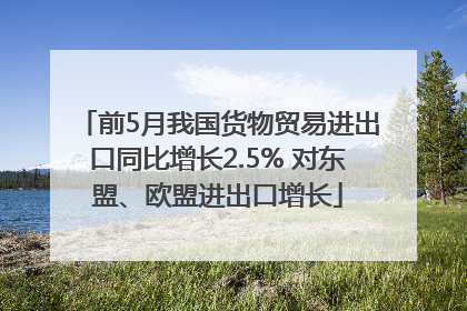 前5月我国货物贸易进出口同比增长2.5% 对东盟、欧盟进出口增长