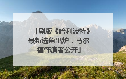 剧版《哈利波特》最新选角出炉，马尔福饰演者公开