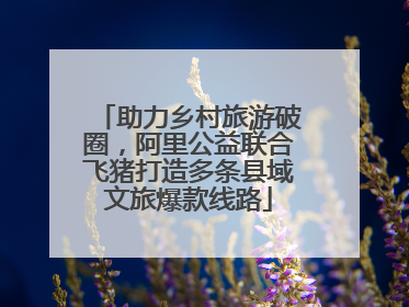 助力乡村旅游破圈，阿里公益联合飞猪打造多条县域文旅爆款线路