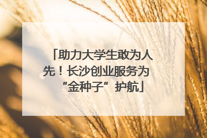助力大学生敢为人先！长沙创业服务为“金种子”护航