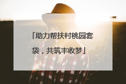 助力帮扶村桃园套袋，共筑丰收梦