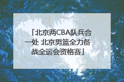 北京两CBA队兵合一处 北京男篮全力备战全运会资格赛