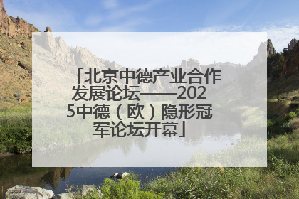 北京中德产业合作发展论坛——2025中德（欧）隐形冠军论坛开幕