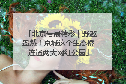 北京号最精彩｜野趣盎然！京城这个生态桥连通两大网红公园