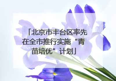 北京市丰台区率先在全市推行实施“青苗培优”计划