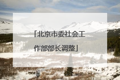 北京市委社会工作部部长调整