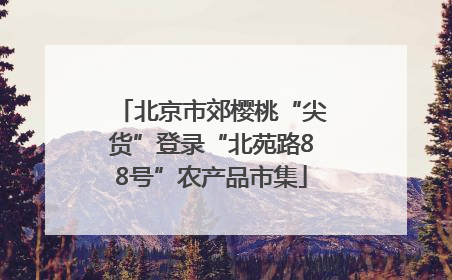 北京市郊樱桃“尖货”登录“北苑路88号”农产品市集