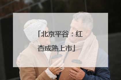 北京平谷：红杏成熟上市