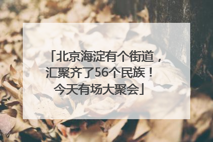 北京海淀有个街道，汇聚齐了56个民族！今天有场大聚会