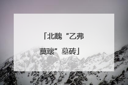 北魏“乙弗莫瓌”墓砖