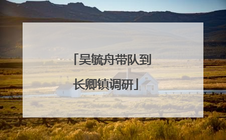 吴毓舟带队到长卿镇调研