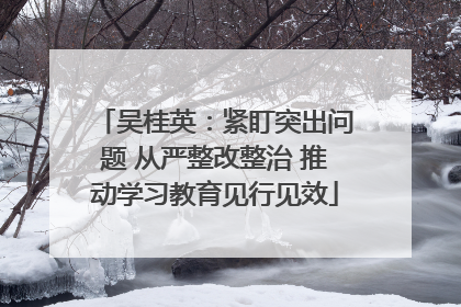 吴桂英：紧盯突出问题 从严整改整治 推动学习教育见行见效