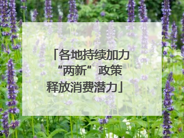 各地持续加力“两新”政策 释放消费潜力