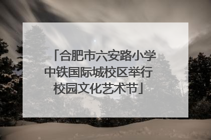 合肥市六安路小学中铁国际城校区举行校园文化艺术节