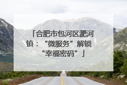合肥市包河区淝河镇：“微服务”解锁“幸福密码”