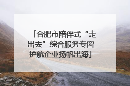 合肥市陪伴式“走出去”综合服务专窗护航企业扬帆出海