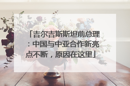 吉尔吉斯斯坦前总理：中国与中亚合作新亮点不断，原因在这里