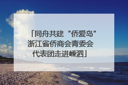 同舟共建“侨爱岛” 浙江省侨商会青委会代表团走进嵊泗