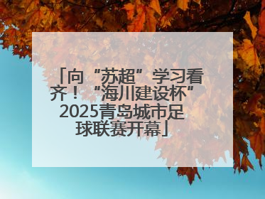 向“苏超”学习看齐！“海川建设杯”2025青岛城市足球联赛开幕