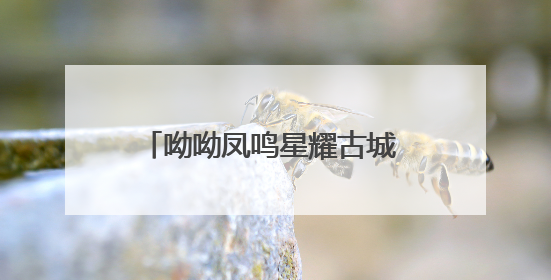 呦呦凤鸣星耀古城 第十二届浙江电影“凤凰奖”在建德揭榜