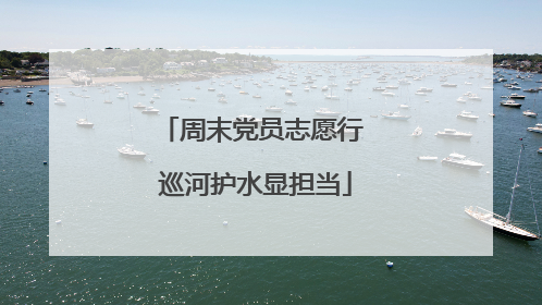 周末党员志愿行 巡河护水显担当