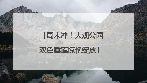 周末冲！大观公园双色睡莲惊艳绽放