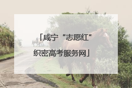 咸宁“志愿红”织密高考服务网