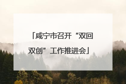 咸宁市召开“双回双创”工作推进会