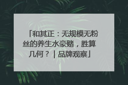 和其正：无规模无粉丝的养生水豪赌，胜算几何？｜品牌观察
