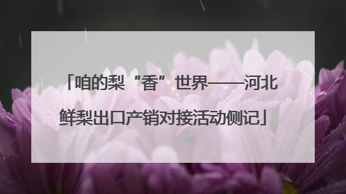 咱的梨“香”世界——河北鲜梨出口产销对接活动侧记