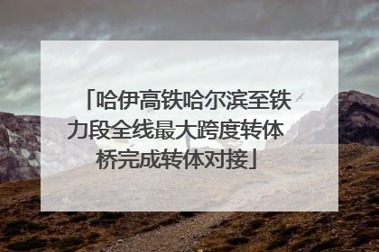 哈伊高铁哈尔滨至铁力段全线最大跨度转体桥完成转体对接