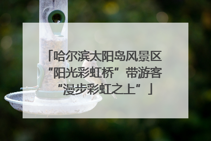 哈尔滨太阳岛风景区“阳光彩虹桥”带游客“漫步彩虹之上”