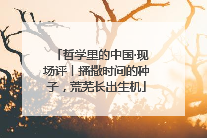 哲学里的中国·现场评丨播撒时间的种子，荒芜长出生机