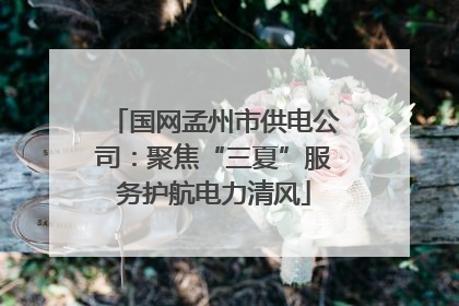 国网孟州市供电公司：聚焦“三夏”服务护航电力清风