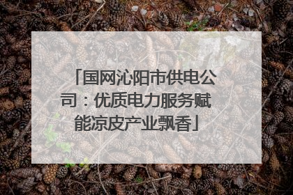 国网沁阳市供电公司：优质电力服务赋能凉皮产业飘香
