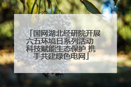 国网湖北经研院开展六五环境日系列活动 科技赋能生态保护 携手共建绿色电网
