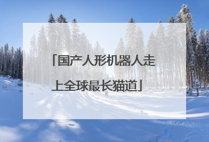 国产人形机器人走上全球最长猫道
