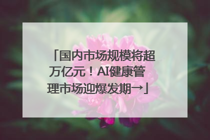 国内市场规模将超万亿元！AI健康管理市场迎爆发期→