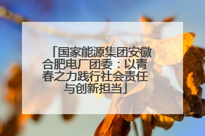 国家能源集团安徽合肥电厂团委：以青春之力践行社会责任与创新担当
